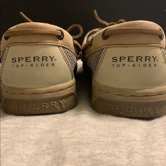 Sperry Angelfish - Picture 3 of 7